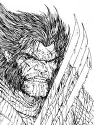 Wolverine por Lucas
